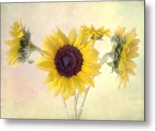 Flower Metal Print featuring the photograph Hello Sunshine by Louise Kumpf