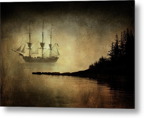  Metal Print featuring the photograph Frinedship by Fred LeBlanc