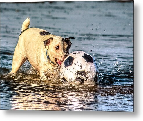 Action Metal Print featuring the photograph Fun In The Surf by Rob Sellers