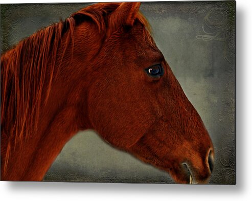 Horse Metal Print featuring the photograph Gentle Red by Linda Segerson