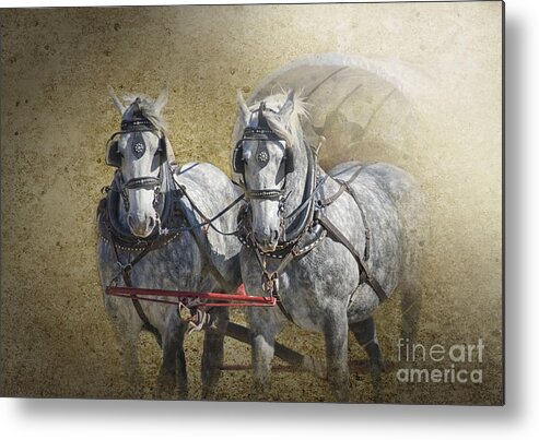 Horses Metal Print featuring the photograph Giddyup by Betty LaRue