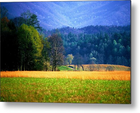 Fine Art Metal Print featuring the photograph Golden day by Rodney Lee Williams