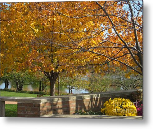 Autumn Metal Print featuring the photograph Golden by Kathie Chicoine