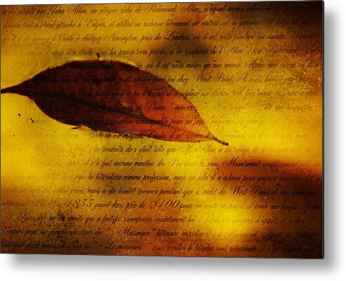 Texture Metal Print featuring the photograph Golden Leaf 1 by Jenny Rainbow