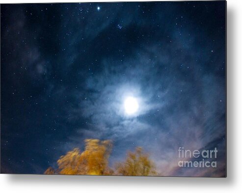 Desert Moon Metal Print featuring the photograph Golden TREE by Angela J Wright