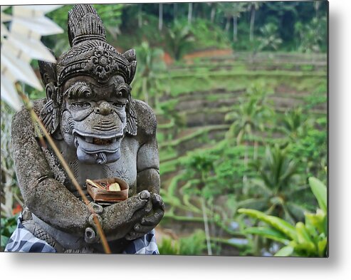 Hanuman Metal Print featuring the photograph Hanuman by Andrei SKY