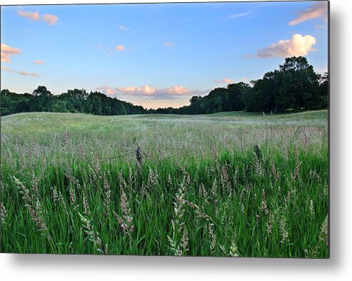 Field Metal Print featuring the photograph Hebron Field by Andrea Galiffi