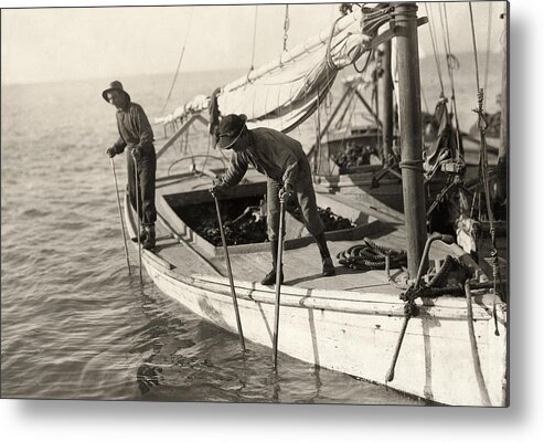 1911 Metal Print featuring the photograph Hine Oyster Fishing, 1911 by Granger