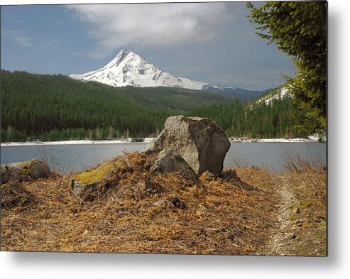 Oregon Metal Print featuring the photograph Hood Rock by Arthur Fix