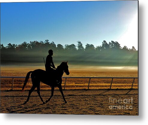 Horse Metal Print featuring the photograph Horse Training at the Winter Colony by Jean Wright