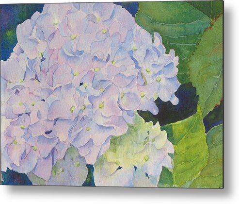 Hydrangea Metal Print featuring the painting Hydrangea by Judy Mercer