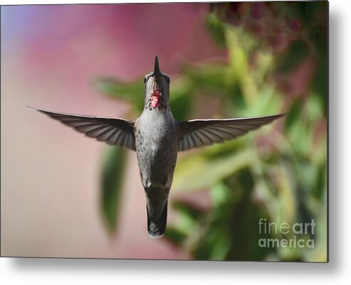 Hummingbird Metal Print featuring the photograph I Love You by Debby Pueschel