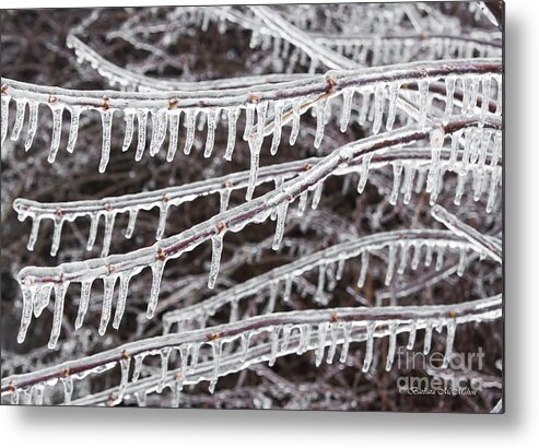 Icicle Metal Print featuring the photograph Ice Abstract 2 by Barbara McMahon
