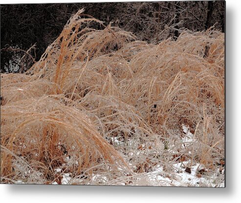 Ice Metal Print featuring the photograph Ice And Dry Grass by Daniel Reed