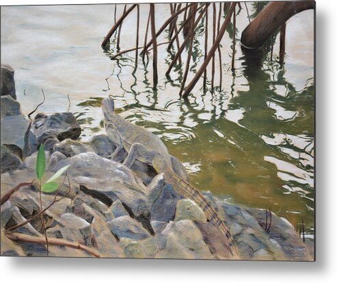Iguana Metal Print featuring the painting Iguana by Christopher Reid