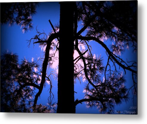 Granite Mountain Metal Print featuring the photograph Illuminated by the Sun by Aaron Burrows