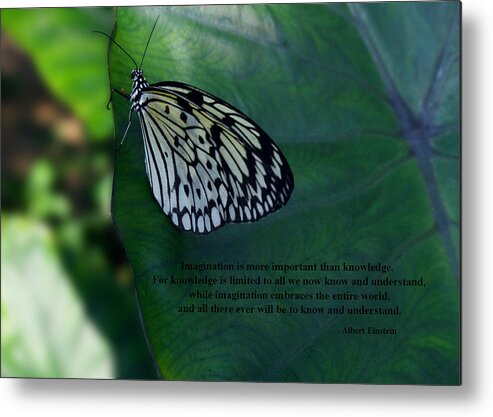 Quote Metal Print featuring the photograph Imagination by Sandra Clark