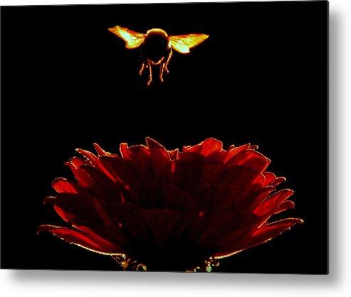 Nature Metal Print featuring the photograph In HIS Light.. by Al Swasey