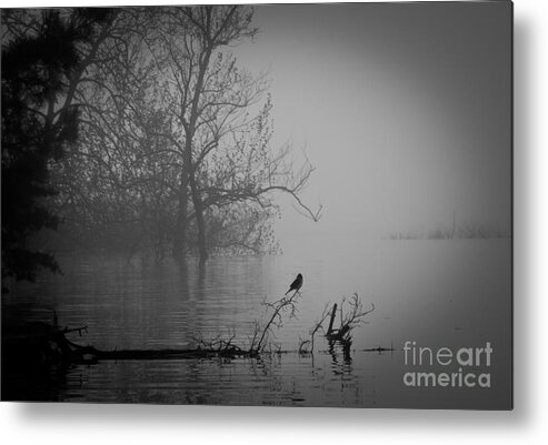 Fog Metal Print featuring the photograph Into The Soup by Douglas Stucky