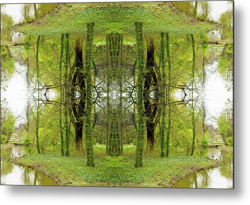 Fairy Tale Metal Print featuring the photograph Kaleidoscope Ivy Trees by Silvia Otte
