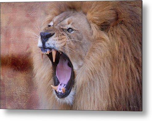 Lion Metal Print featuring the photograph King of Beasts by Dyle  Warren