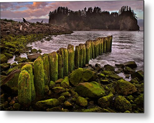 2011 Metal Print featuring the photograph La Push by Robert Charity