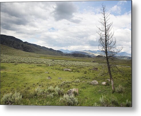 Lamar Valley Metal Print featuring the photograph Lamar Valley No. 1 by Belinda Greb