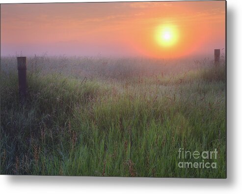 Foggy Metal Print featuring the photograph Land of the Whitetail Deer by Dan Jurak