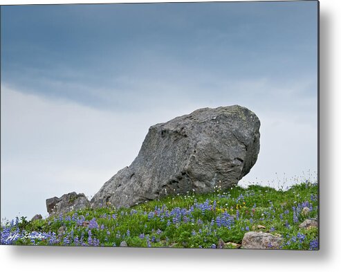 Alpine Metal Print featuring the photograph Large Boulder Deposited by a Glacier in an Alpine Meadow by Jeff Goulden