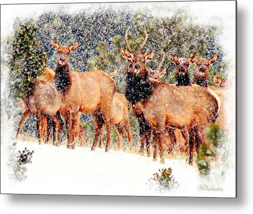 Christmas Card Metal Print featuring the mixed media Let it Snow - Barbara Chichester by Barbara Chichester