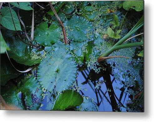 Fear Metal Print featuring the photograph Lillies of the Garden by George D Gordon III