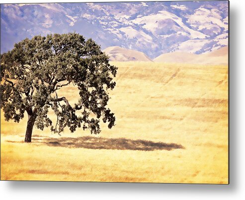 Lone Tree Metal Print featuring the photograph Lone Tree by Caitlyn Grasso
