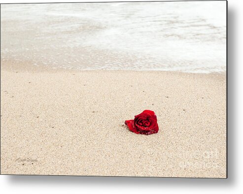 Lost Love Metal Print featuring the photograph Lost Love by Michelle Constantine