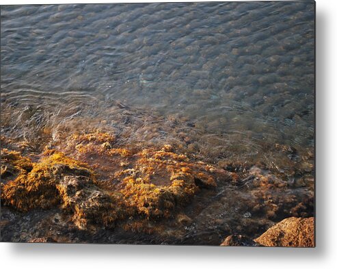 Low Tide Metal Print featuring the photograph Low Tide by George Katechis