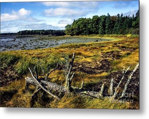 Deer Isle Metal Print featuring the photograph Low Tide Reach Road by Thomas R Fletcher