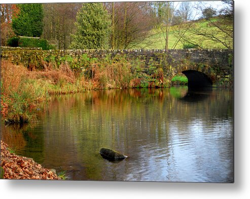  Metal Print featuring the photograph Lwv10035 by Lee Winter