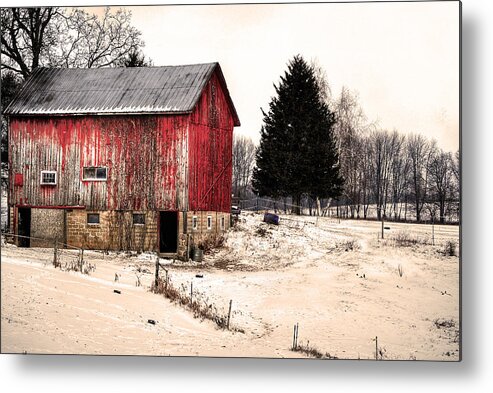  Metal Print featuring the photograph Lwv50029 by Lee Winter