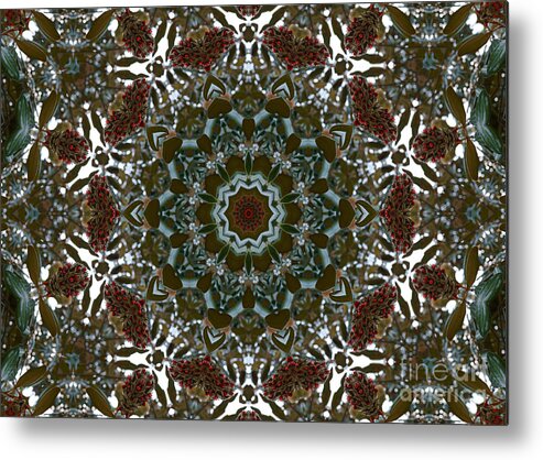 Kaleidoscope Metal Print featuring the photograph Magnolia Seeds Kaleidoscope by MM Anderson
