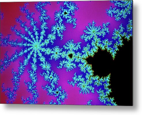 Computer Graphics Metal Print featuring the photograph Mandelbrot Set by Dr Fred Espenak/science Photo Library