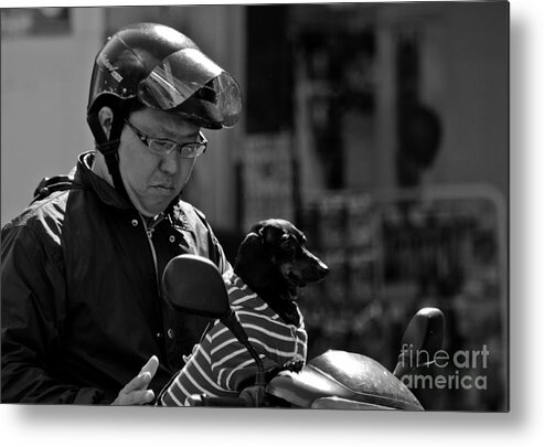 Scooter Metal Print featuring the photograph Man's Best Friend by Kim Vetten
