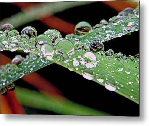 Water Drops Metal Print featuring the photograph Marble Drops by Suzy Piatt