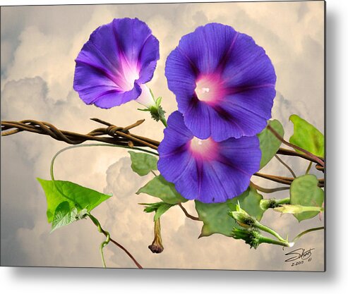 Flowers Metal Print featuring the digital art Morning Glory and Barbed Wire by M Spadecaller