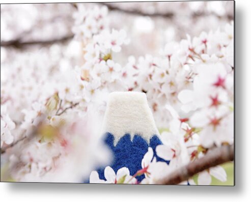 Snow Metal Print featuring the photograph Mt. Fuji,cherry Blossoms by Sot