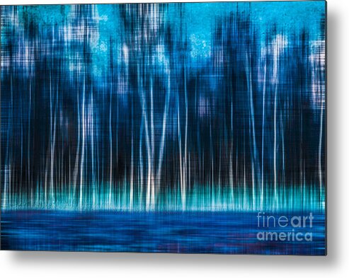 Birch Metal Print featuring the photograph Mystic Forest by Hannes Cmarits