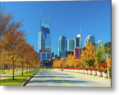 Grass Metal Print featuring the photograph Nashville Skyline And Fall Plants by Davel5957