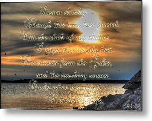 Gulls Metal Print featuring the photograph Natures Melody with text by Michael Frank Jr