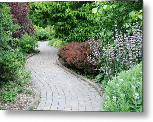 Trail Metal Print featuring the photograph Frelinghuysen Arboretum Path by Richard Bryce and Family