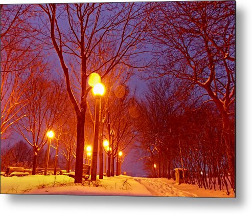 Toronto Metal Print featuring the photograph Night Falls by Nicky Jameson
