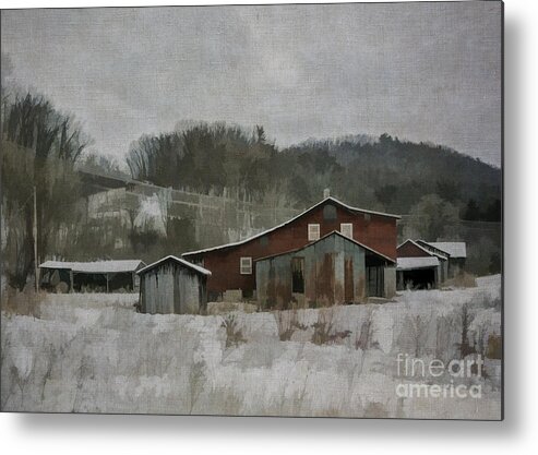 Nonna Metal Print featuring the photograph Nonna's Farm by Terry Rowe