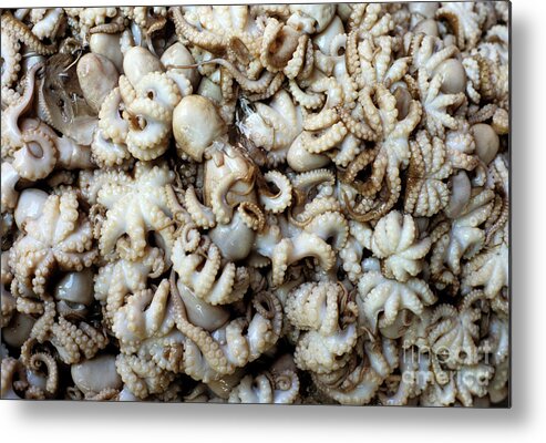 Fresh Metal Print featuring the photograph Octopuses by Rick Piper Photography